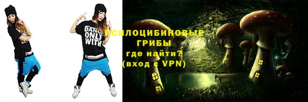 мет Арсеньев