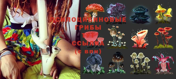 марихуана Баксан