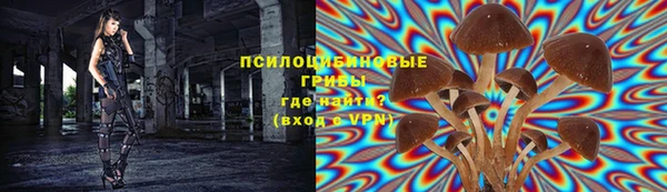 дживик Балахна